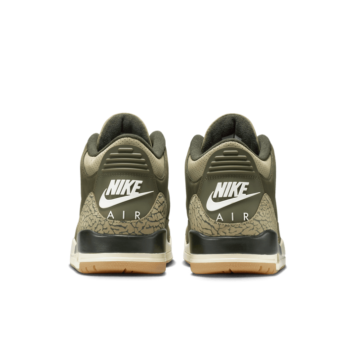 Air Jordan 3 Retro 'Family Affair'