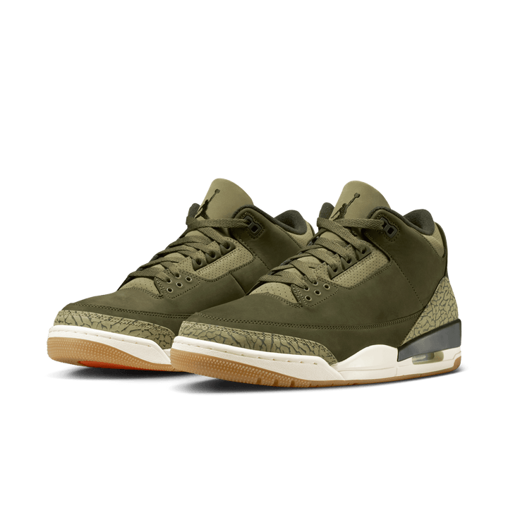 Air Jordan 3 Retro 'Family Affair'