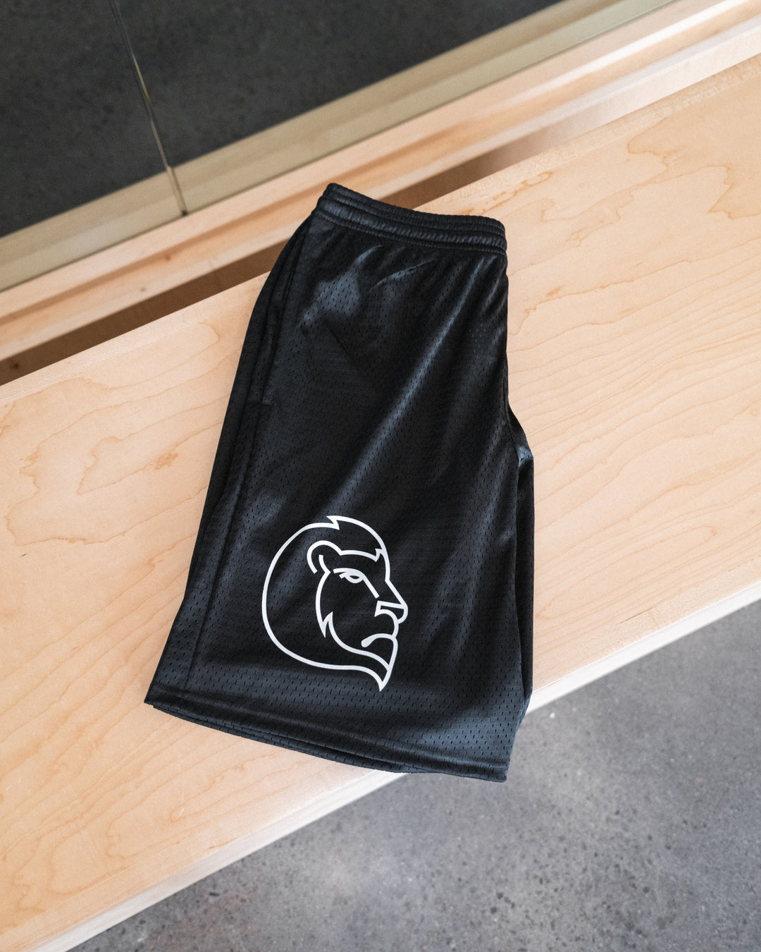 Courtside Champion 9" Mesh Lion Shorts 'Black'