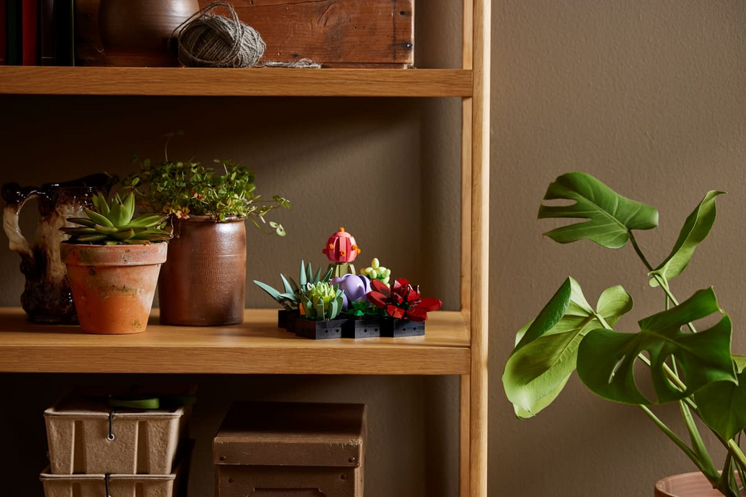 LEGO® Botanicals Succulents 10309