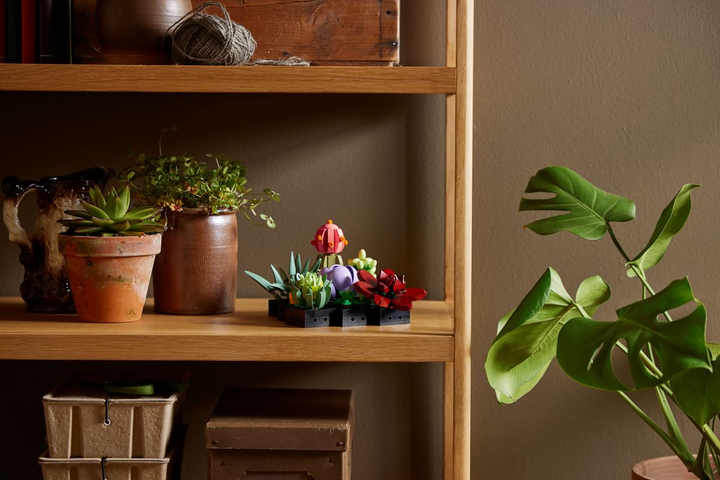 LEGO® Botanicals Succulents 10309
