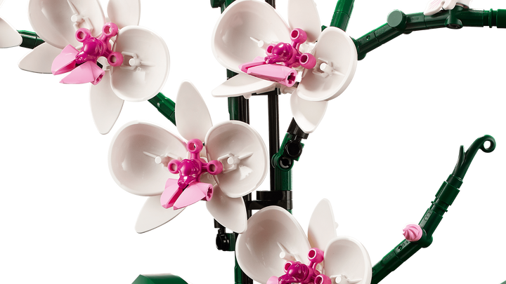 LEGO® Botanicals Orchid 10311