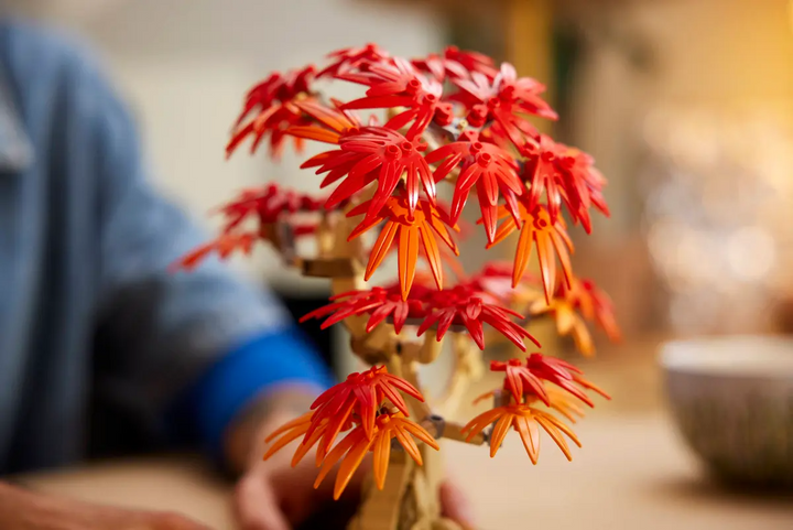 LEGO® Botanicals Japanese Red Maple Bonsai Tree 10348