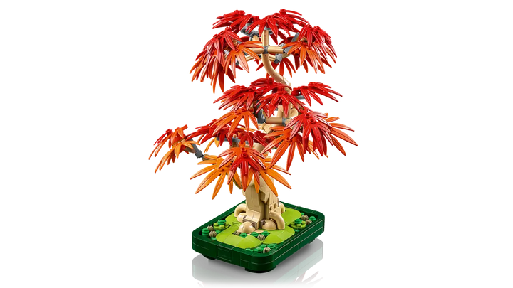 LEGO® Botanicals Japanese Red Maple Bonsai Tree 10348