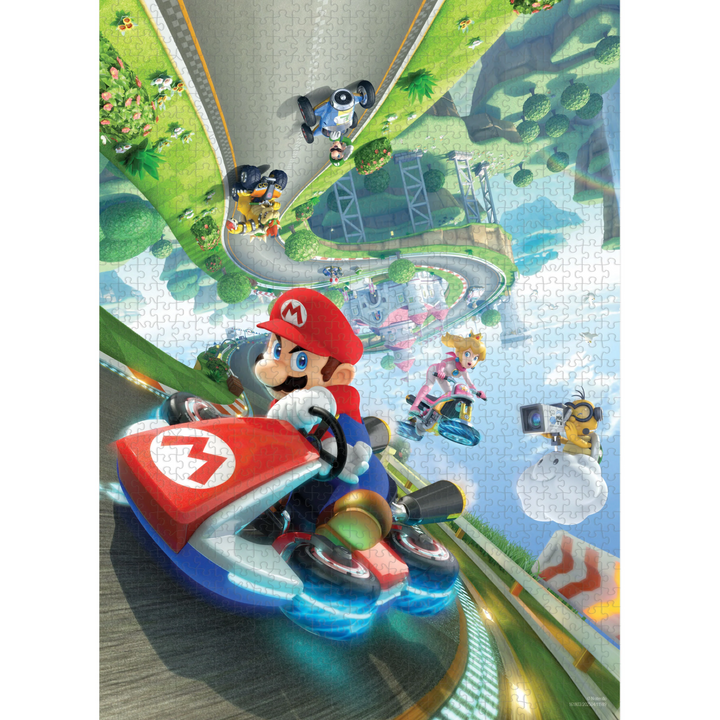 Mario Kart "Anti-Gravity" 1,000 Piece Puzzle