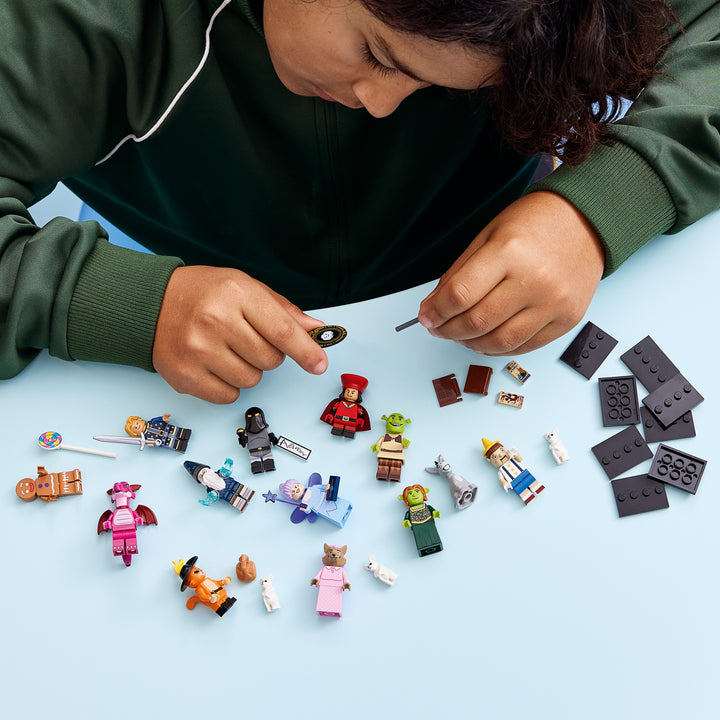 LEGO® Shrek Series 71053