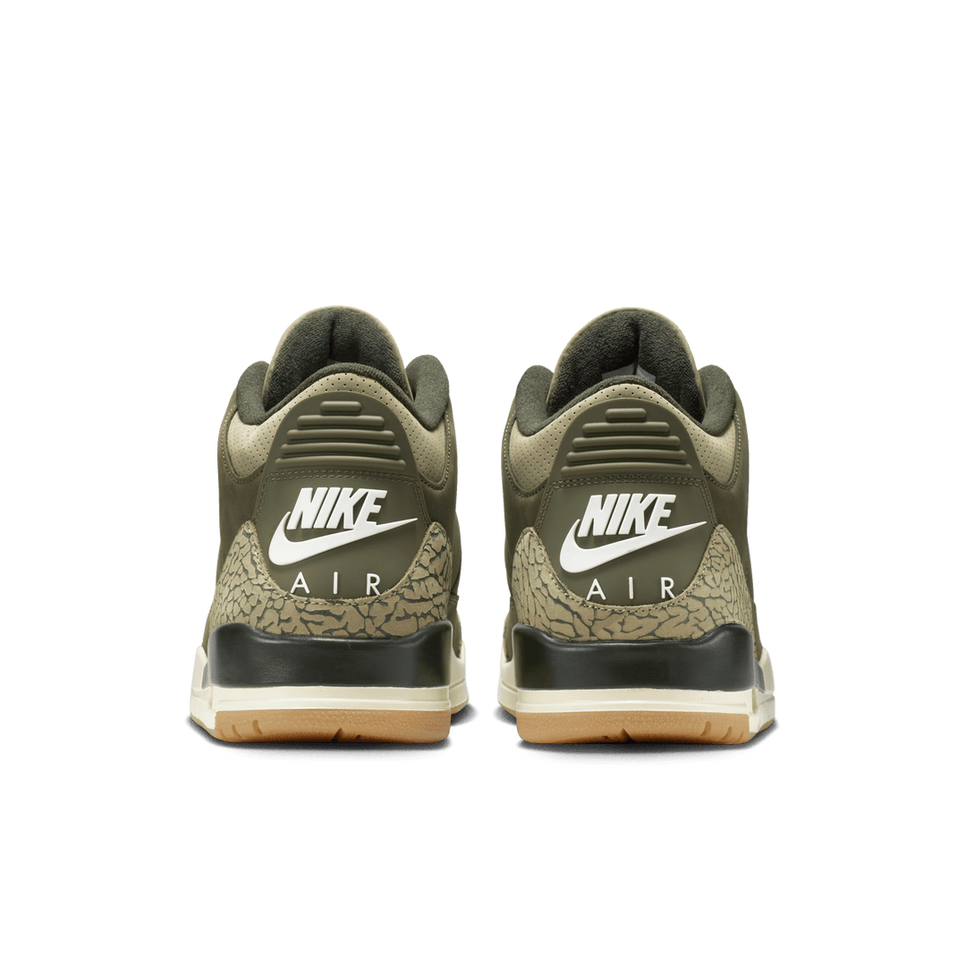 Air Jordan 3 Retro 'Family Affair'