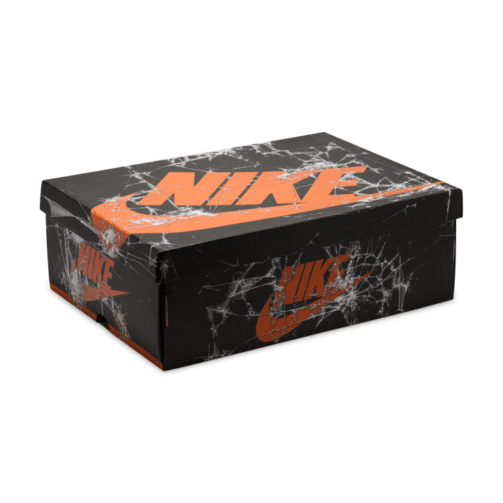 Air Jordan 1 Retro High OG 'Shattered Backboard'