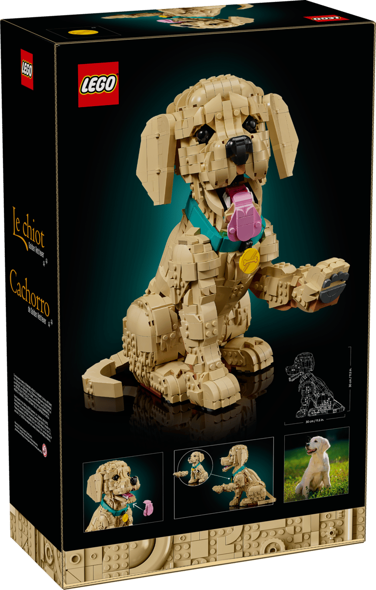 LEGO® Icons Golden Retriever Puppy 11384