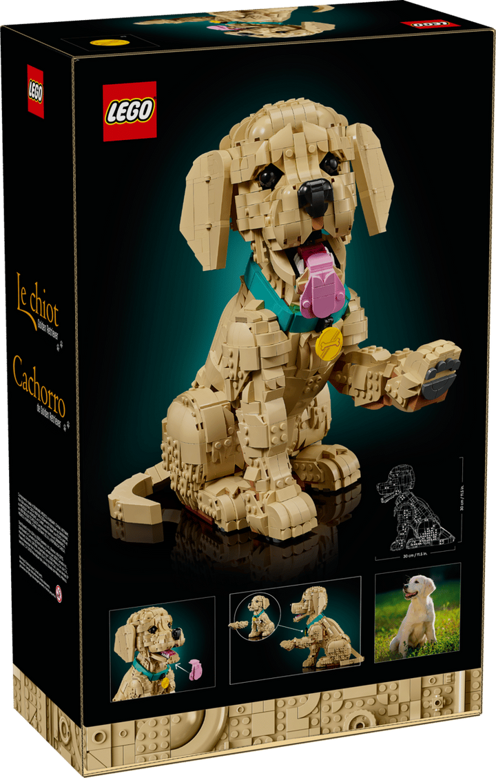 LEGO® Icons Golden Retriever Puppy 11384