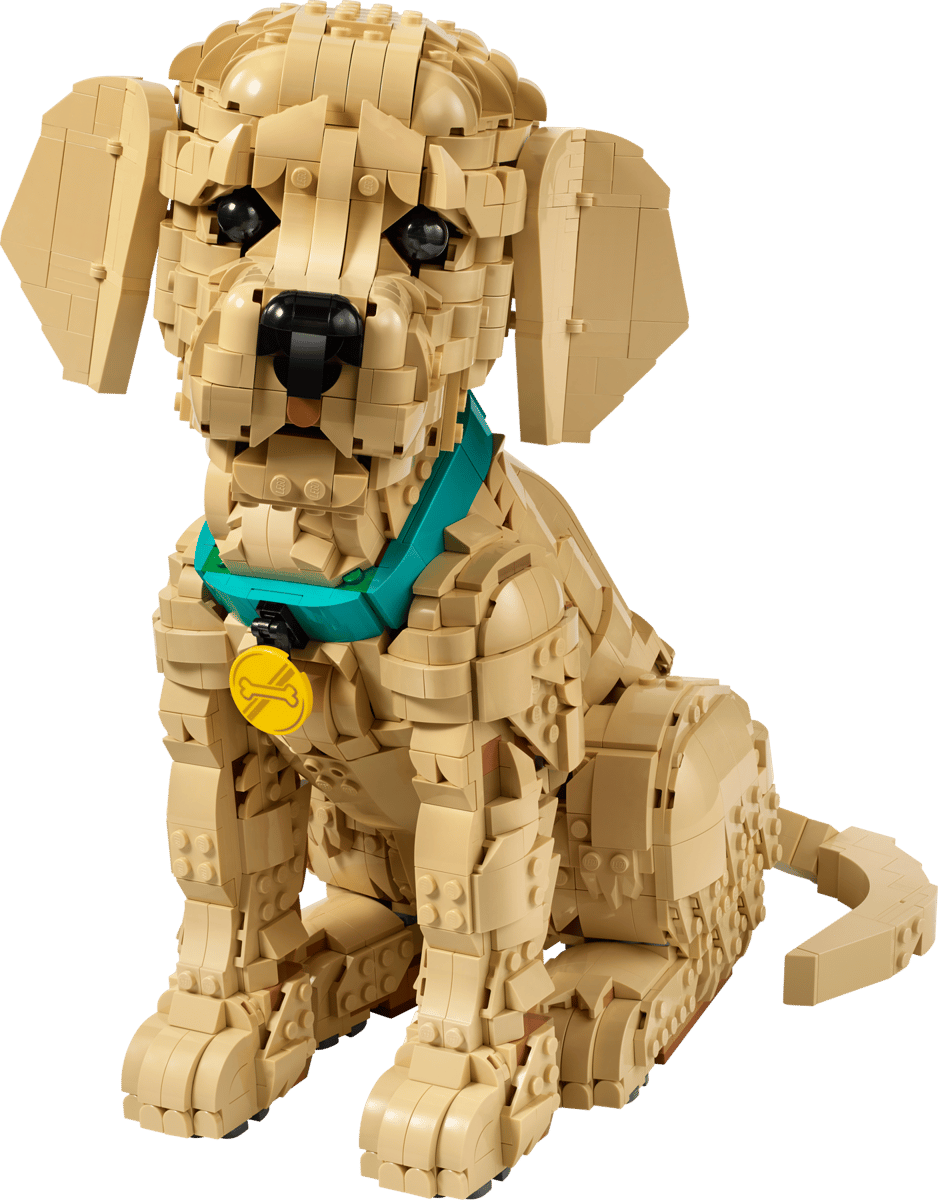 LEGO® Icons Golden Retriever Puppy 11384