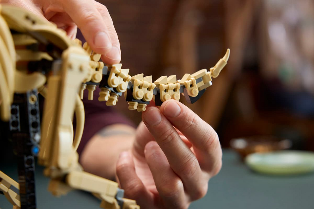 LEGO® Jurassic World™ Dinosaur Fossils: Triceratops 77985