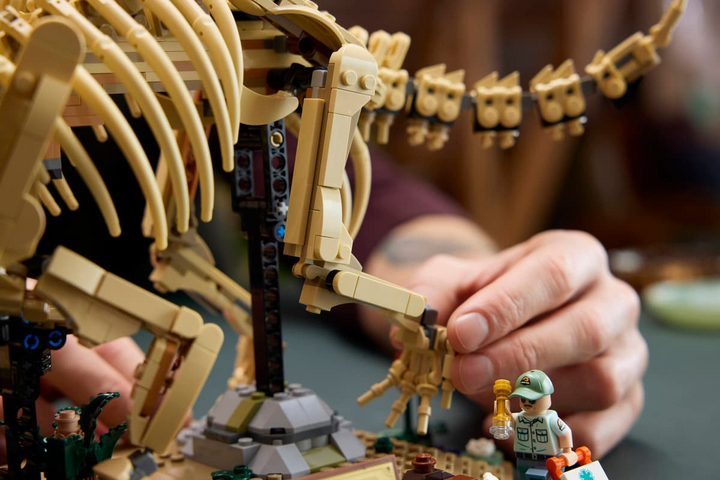 LEGO® Jurassic World™ Dinosaur Fossils: Triceratops 77985