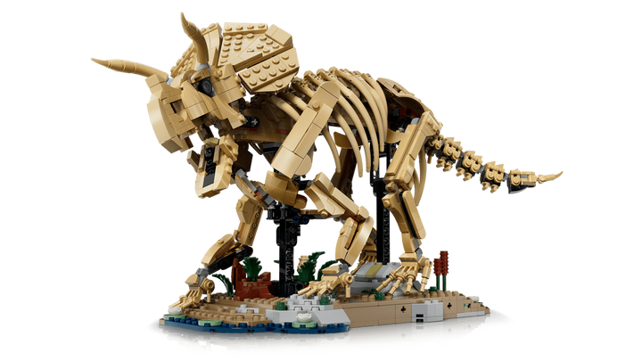 LEGO® Jurassic World™ Dinosaur Fossils: Triceratops 77985