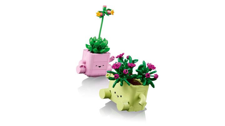 LEGO® Botanicals Rocking Plants 11506
