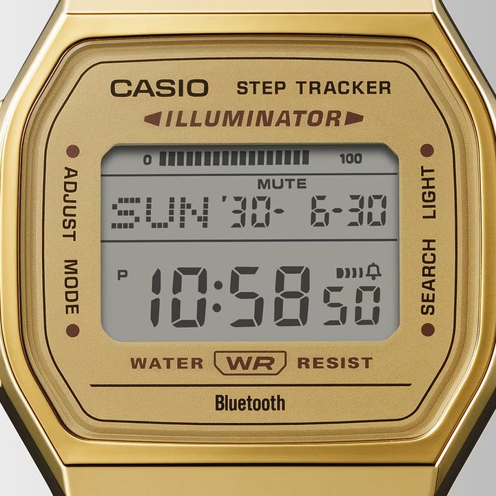 Casio ABL-100WEG-9A